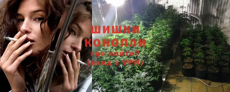 МАРИХУАНА White Widow  Галич 